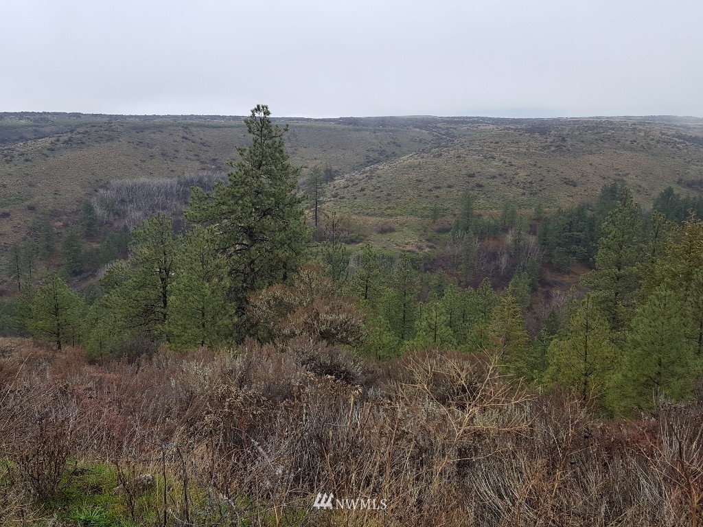 0 Pine Tree Lane North Creston, WA 99117 - Photo 5 of 13 Gallery Image 5
