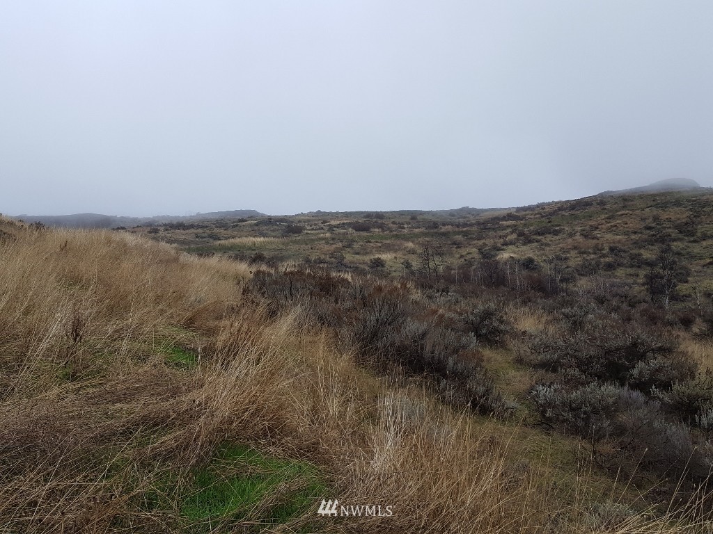 0 Pine Tree Lane North Creston, WA 99117 - Photo 10 of 13 Gallery Image 10
