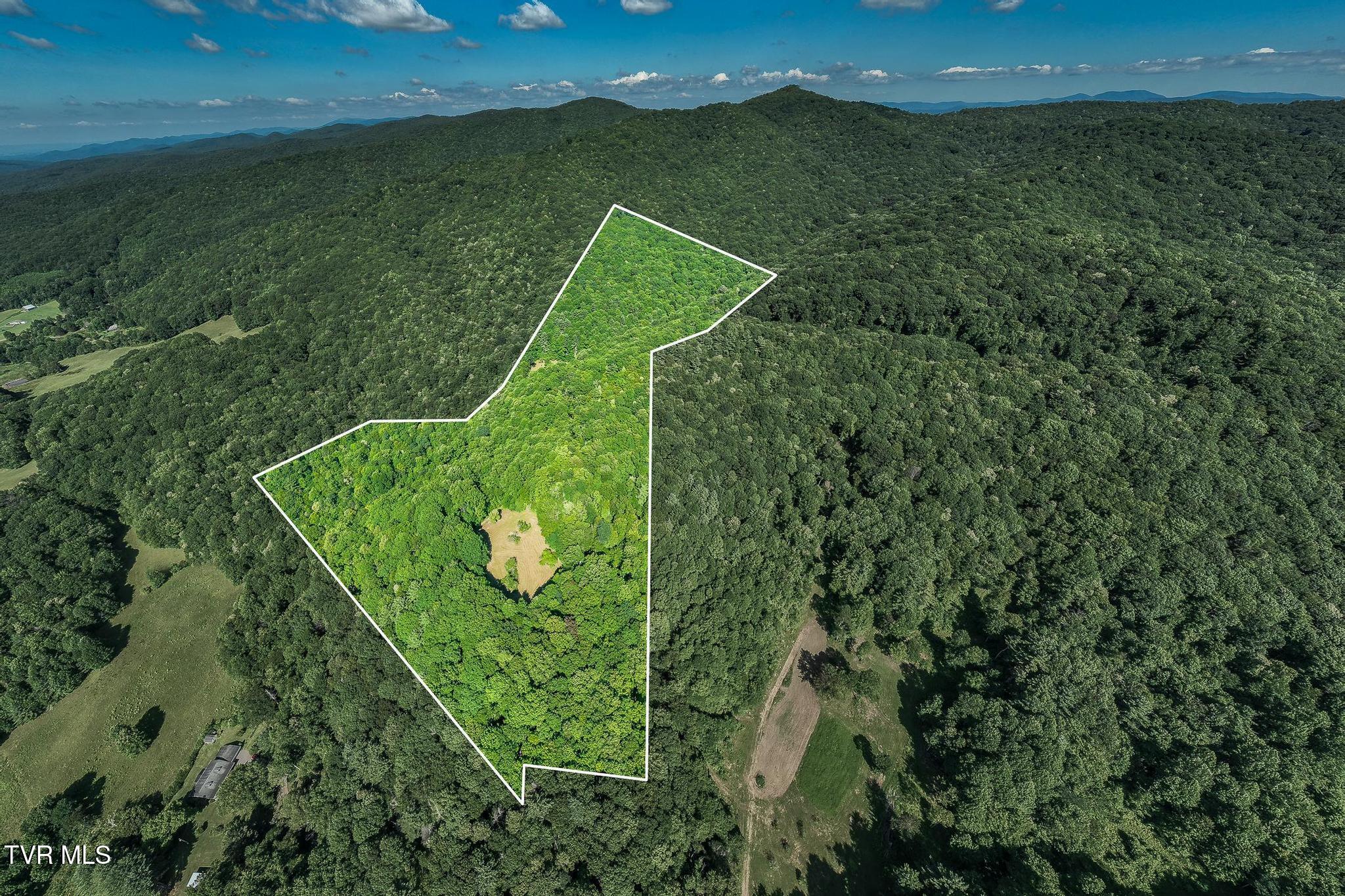540 Jim Wright Road Shady Valley, TN 37688 - Photo 2 of 50 540 Jim Wright Road (9 of 78)
