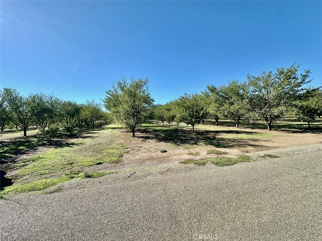 9581 Jones Durham, CA 95938 - Photo 24 of 29