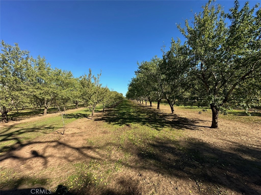 9581 Jones Durham, CA 95938 - Photo 27 of 29