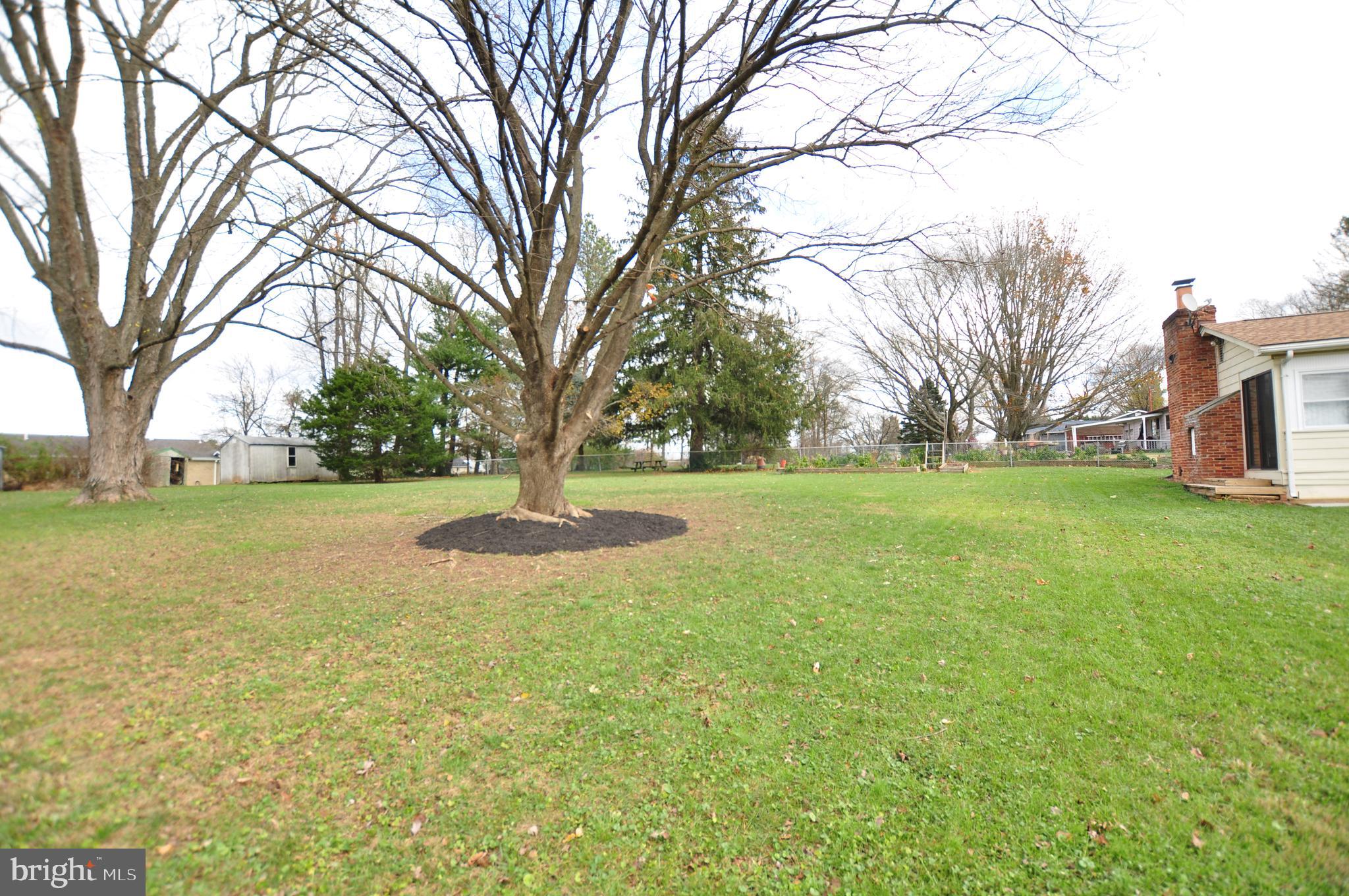 7909 Rocky Road Gaithersburg, MD 20882 - Photo 30 of 31 Beautiful Backyard!