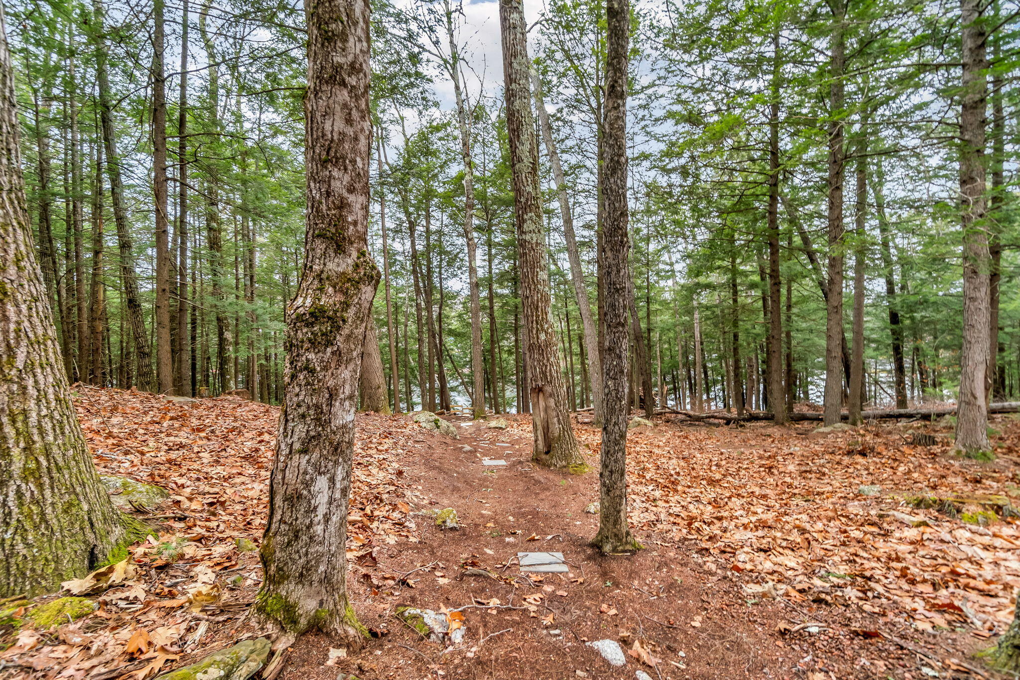 89 Boot Cove Lane Winthrop, ME 04364 - Photo 98 of 98 81-web-or-mls-89-boot-cove-ln