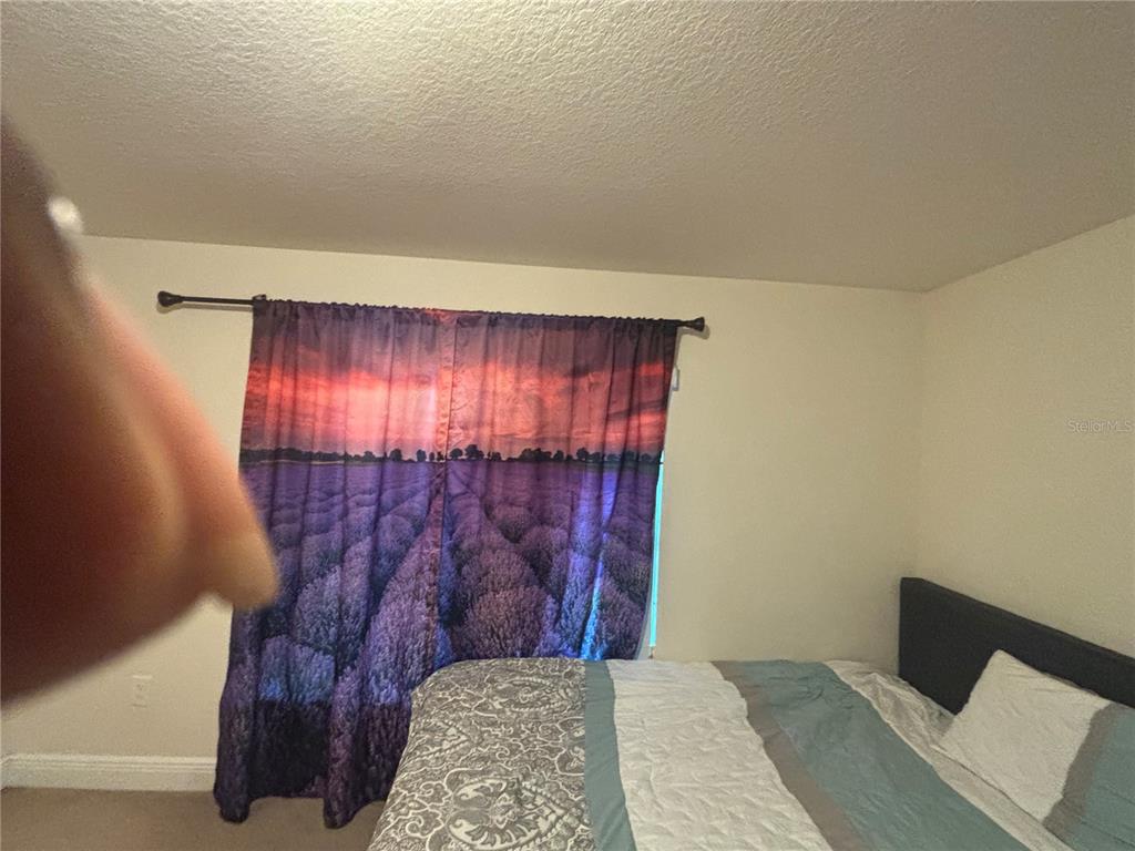 12214 Legacy Bright Street Riverview, FL 33578 - Photo 15 of 16