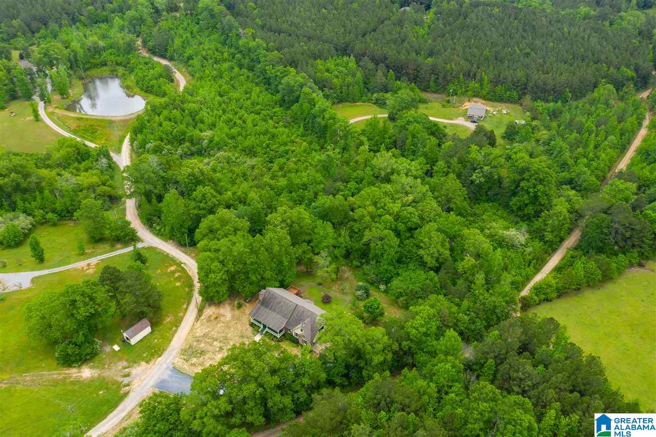 334 Old Eason Road Pell City, AL 35128 - Photo 2 of 47