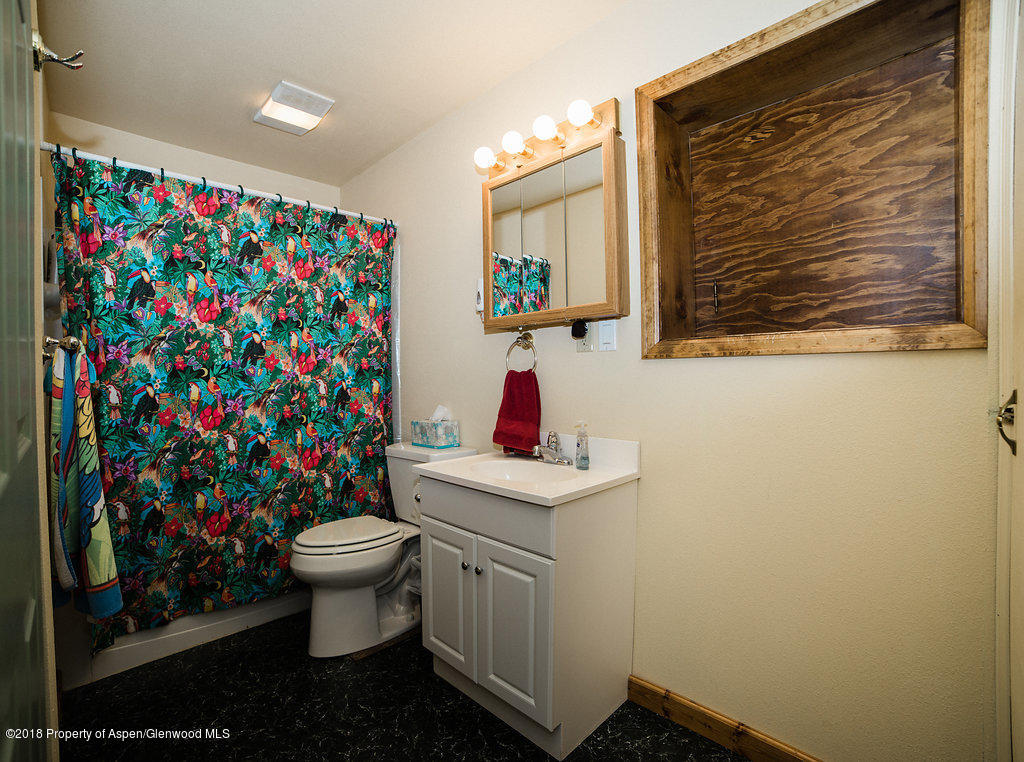 329 Rabbit Road Carbondale, CO 81623 - Photo 23 of 32 3rd bath basement