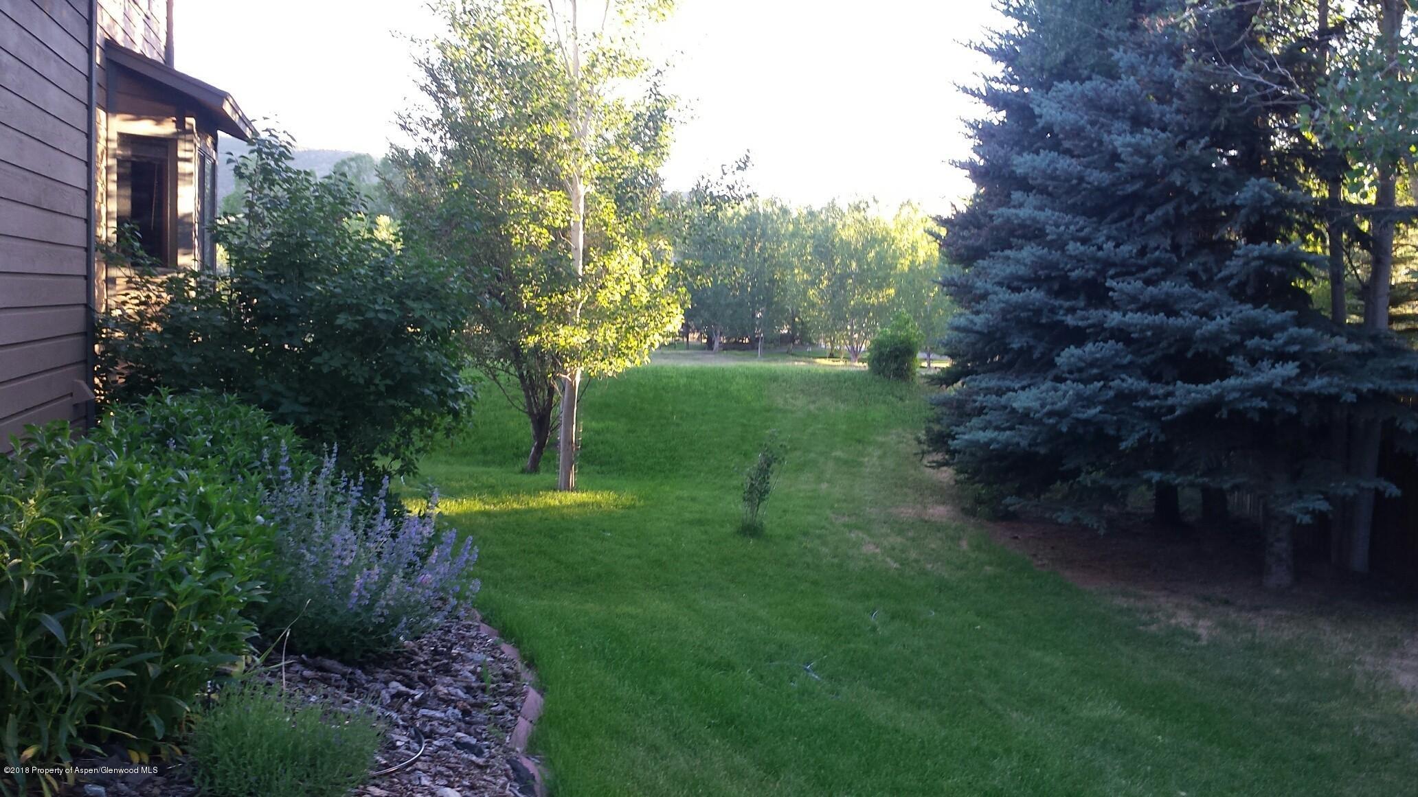 side yard in summer