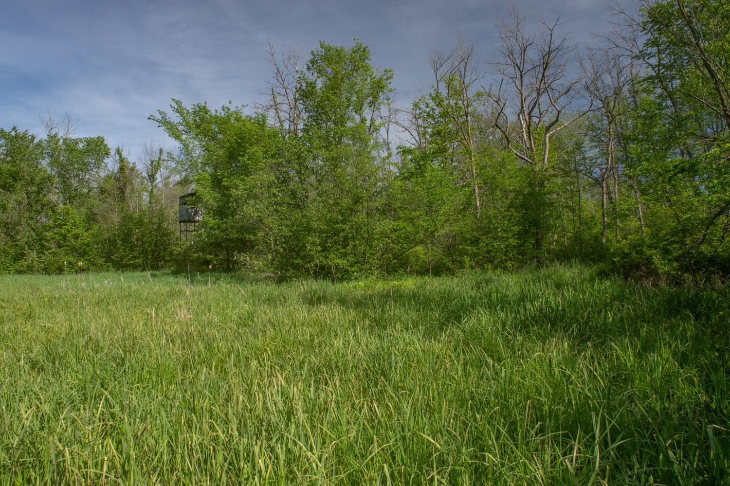 Chicago Road Redgranite, WI 54970 - Photo 12 of 37