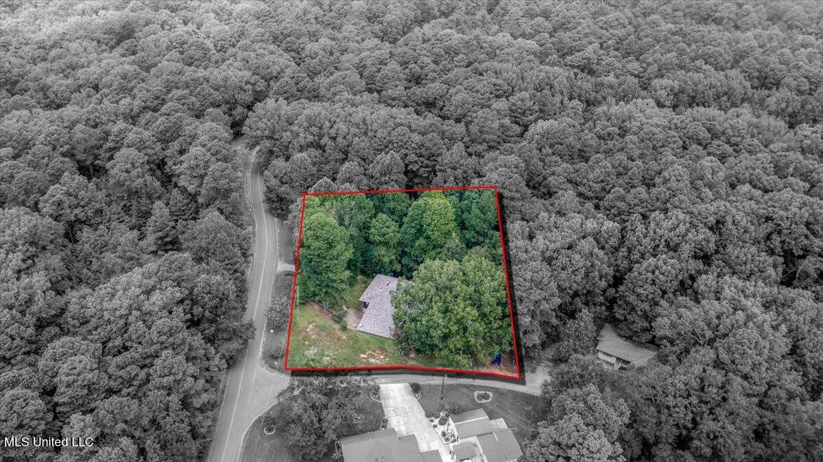 19 Autumn Drive Coldwater, MS 38618 - Photo 7 of 36 07-Approx Lot lines