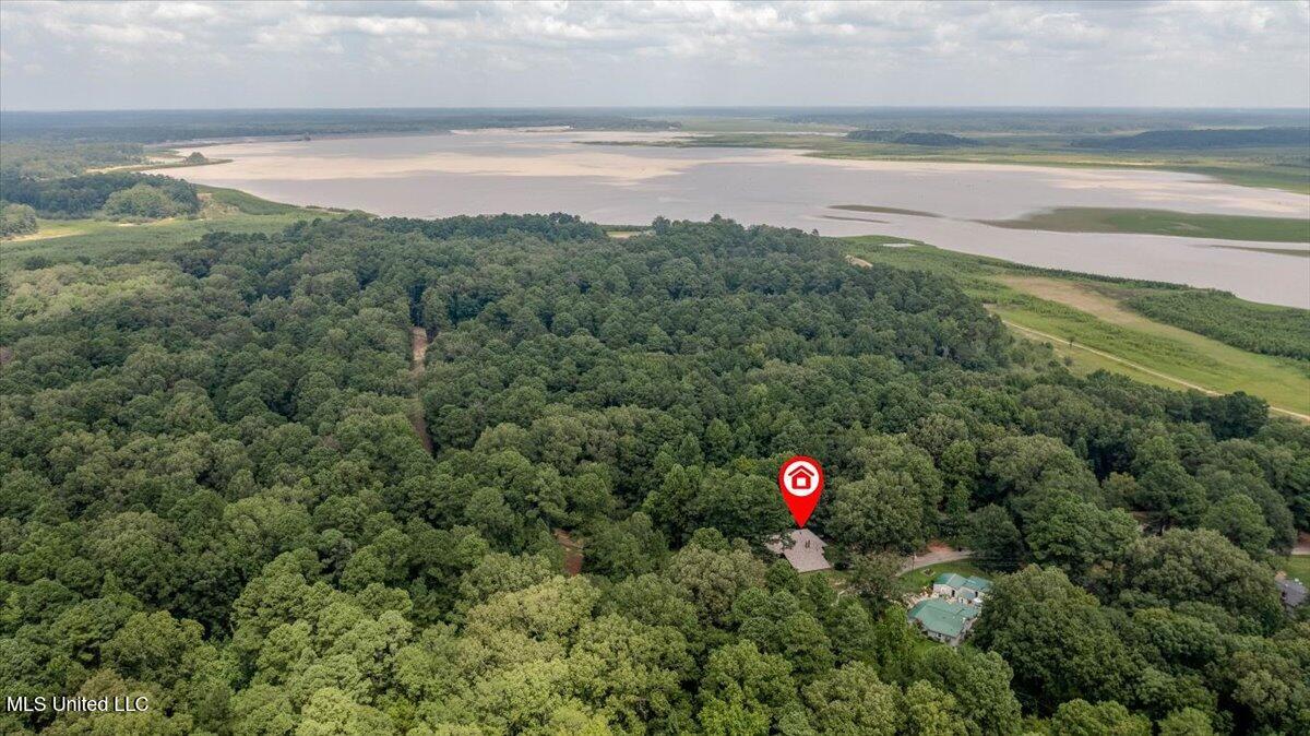 19 Autumn Drive Coldwater, MS 38618 - Photo 9 of 36 09-Aerial of Lake