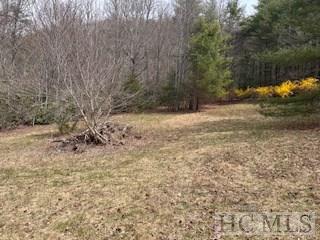 Lot 4 Hive Road Glenville, NC 28736 - Photo 12 of 14 Gallery Image 12
