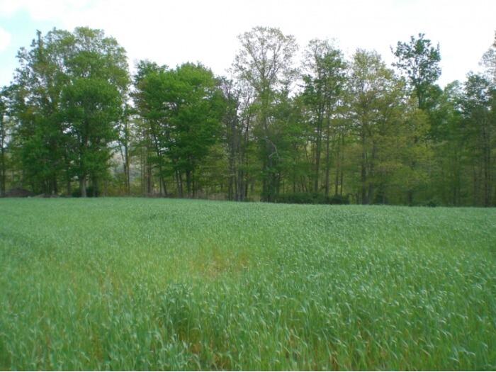 J D Chambers Road, Unit 13 Robbins, TN 37852 - Photo 2 of 5 photos (2)