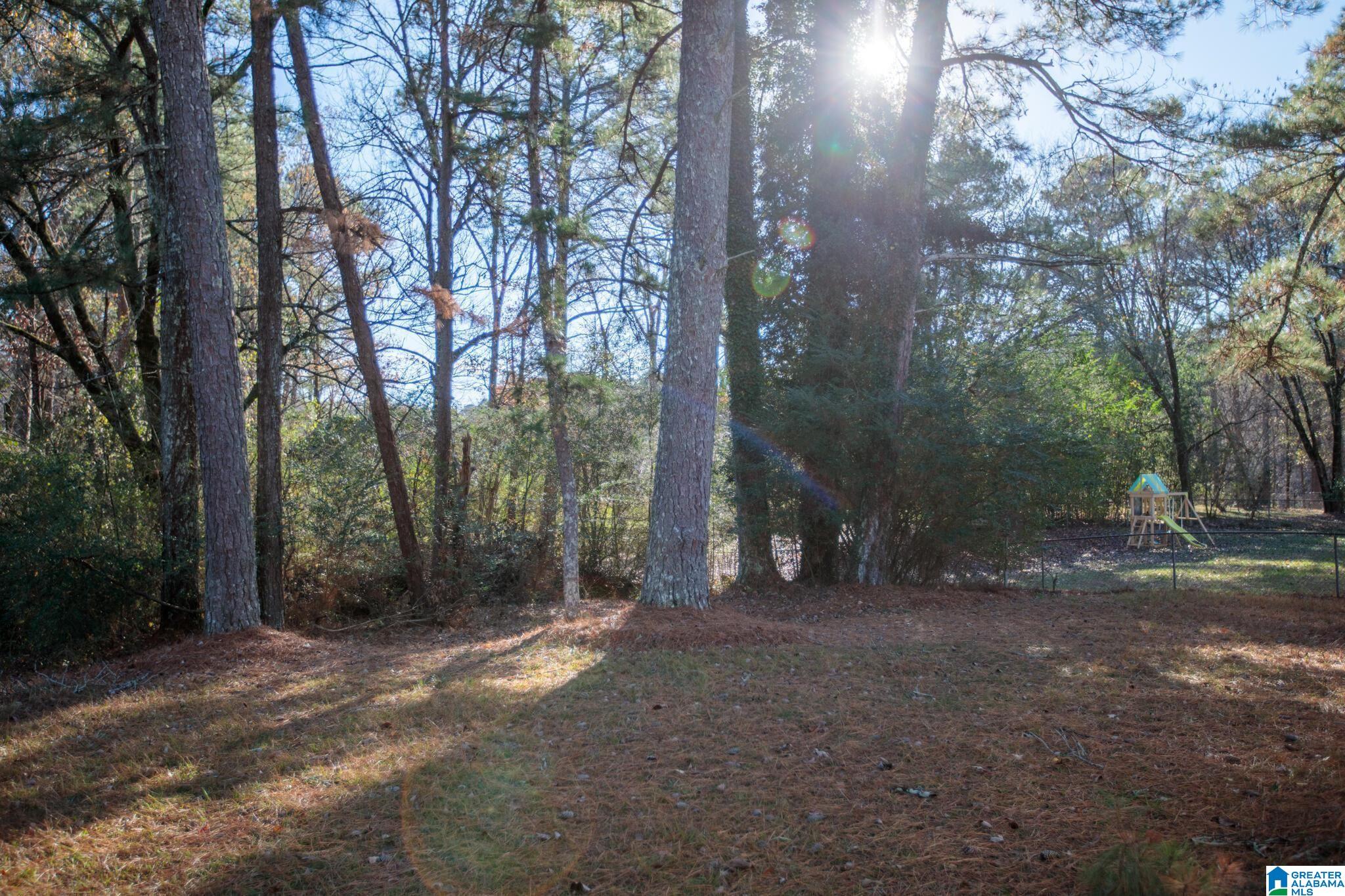 6245 Clay-Palmerdale Road Pinson, AL 35126 - Photo 2 of 11