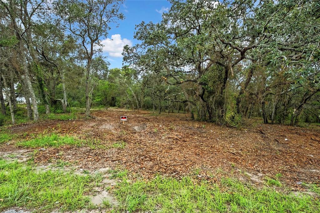 0 Old Shady Hills Road Spring Hill, FL 34610 - Photo 11 of 17 a view of outdoor space with trees