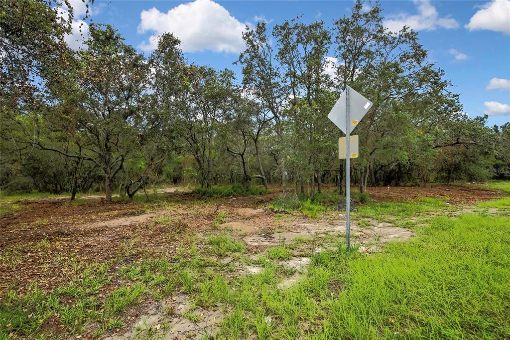 0 Old Shady Hills Road Spring Hill, FL 34610 - Photo 12 of 17 a backyard of a house with lots of green space