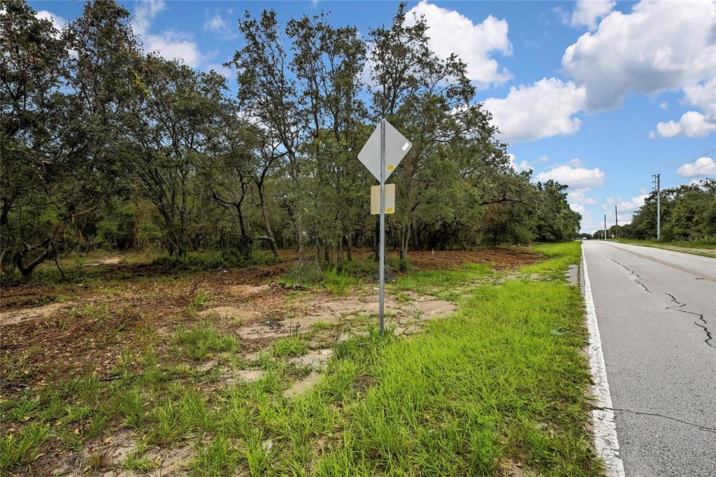0 Old Shady Hills Road Spring Hill, FL 34610 - Photo 13 of 17 a backyard of a house with lots of green space