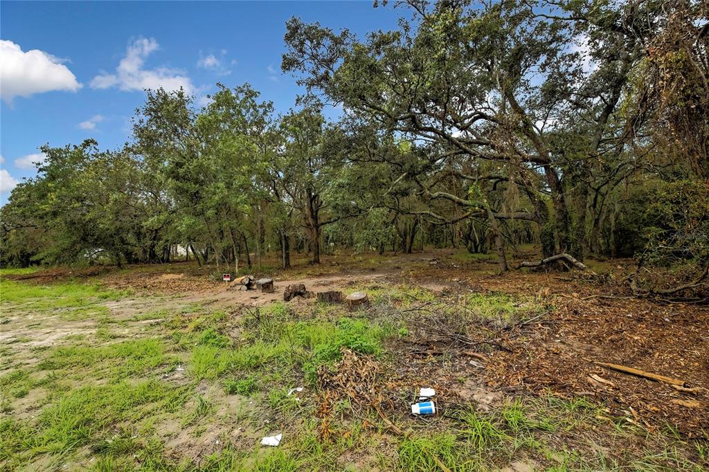 0 Old Shady Hills Road Spring Hill, FL 34610 - Photo 15 of 17 a backyard of a house with lots of green space