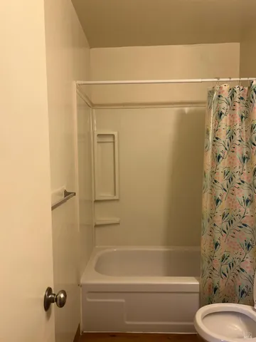a bathroom with a shower and a toilet