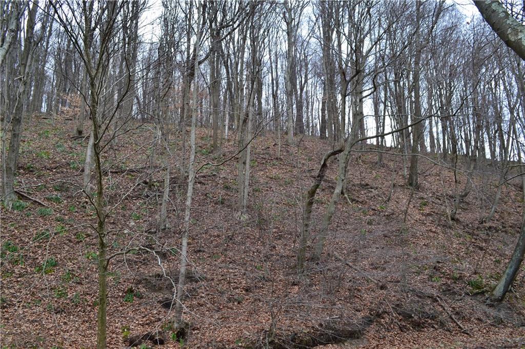 416 Back Creek Road Champion, PA 15622 - Photo 24 of 25 Gallery Image 24