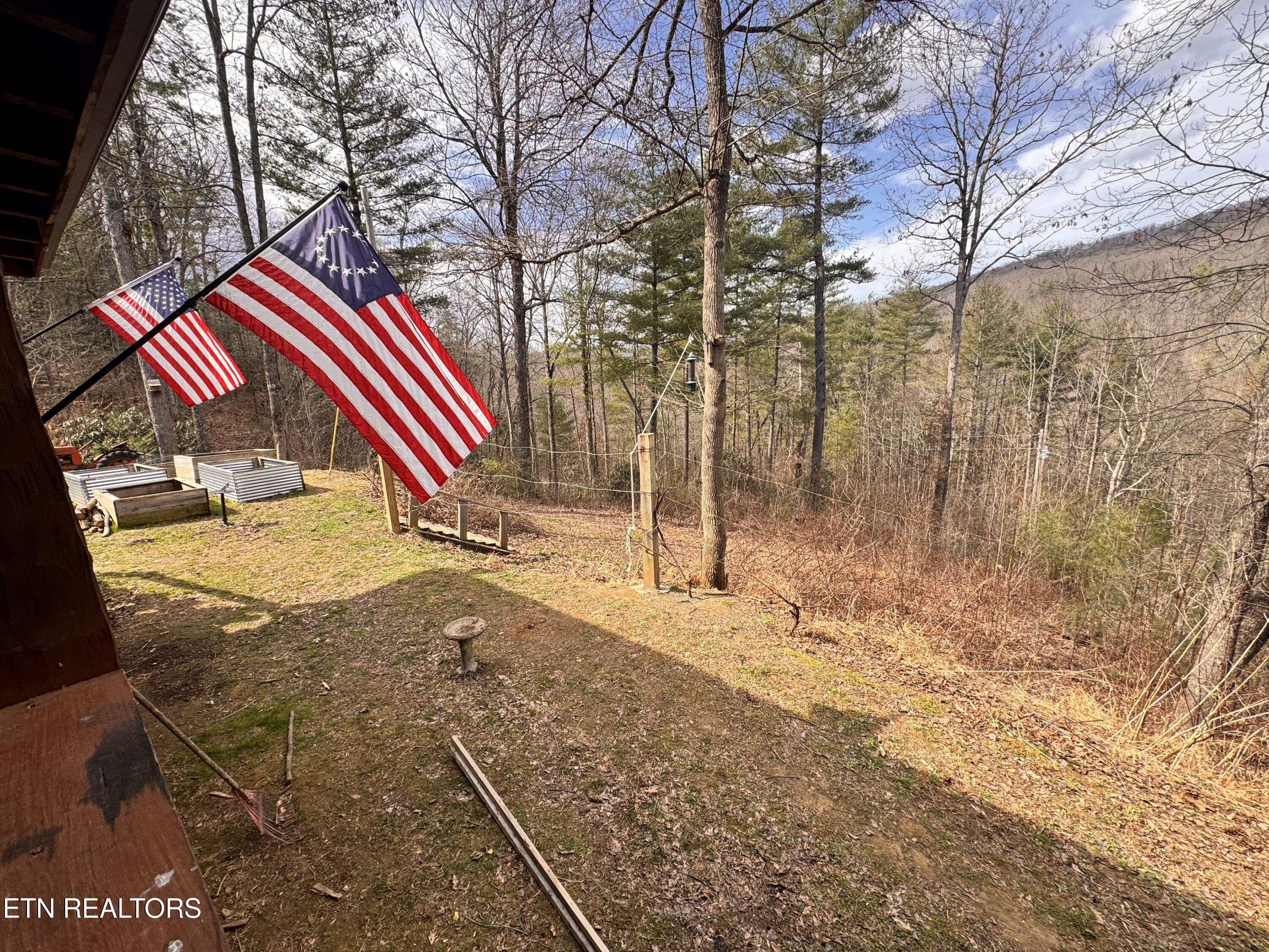 132 Sugar Maple Way Del Rio, TN 37727 - Photo 41 of 58 Side Yard