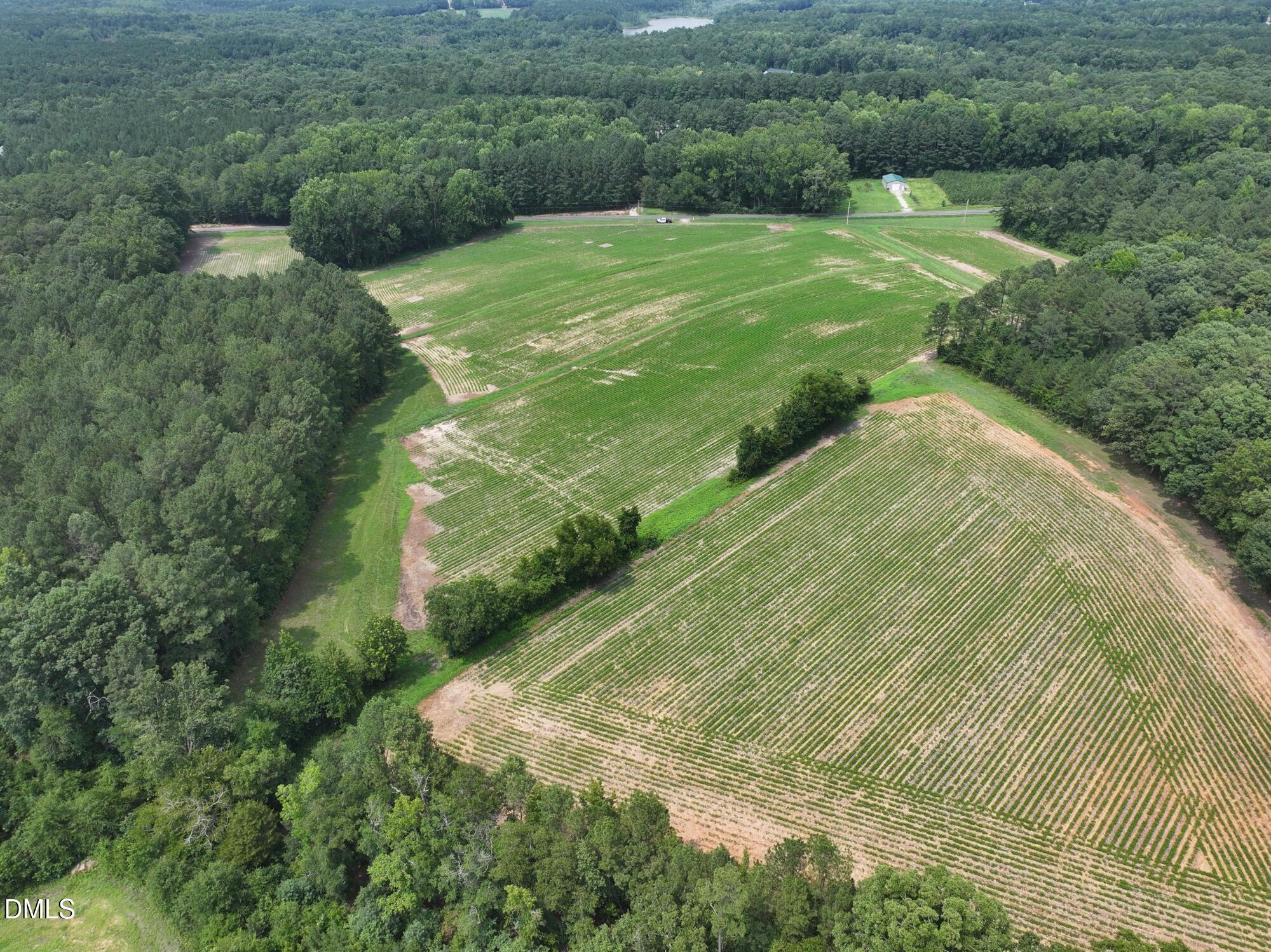 Lot 3 Claude Lewis Road Bailey, NC 27807 - Photo 2 of 11 1 (13)_MLS