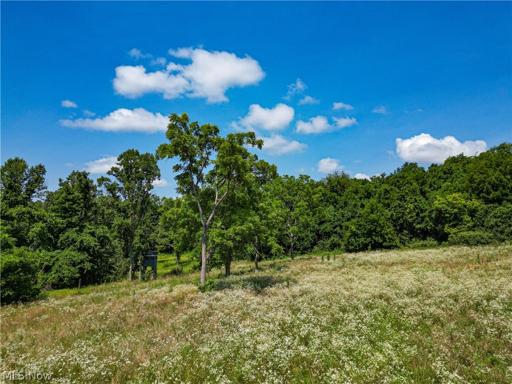 27339 Tabor Ridge Road Caldwell, OH 43724 - Photo 22 of 50