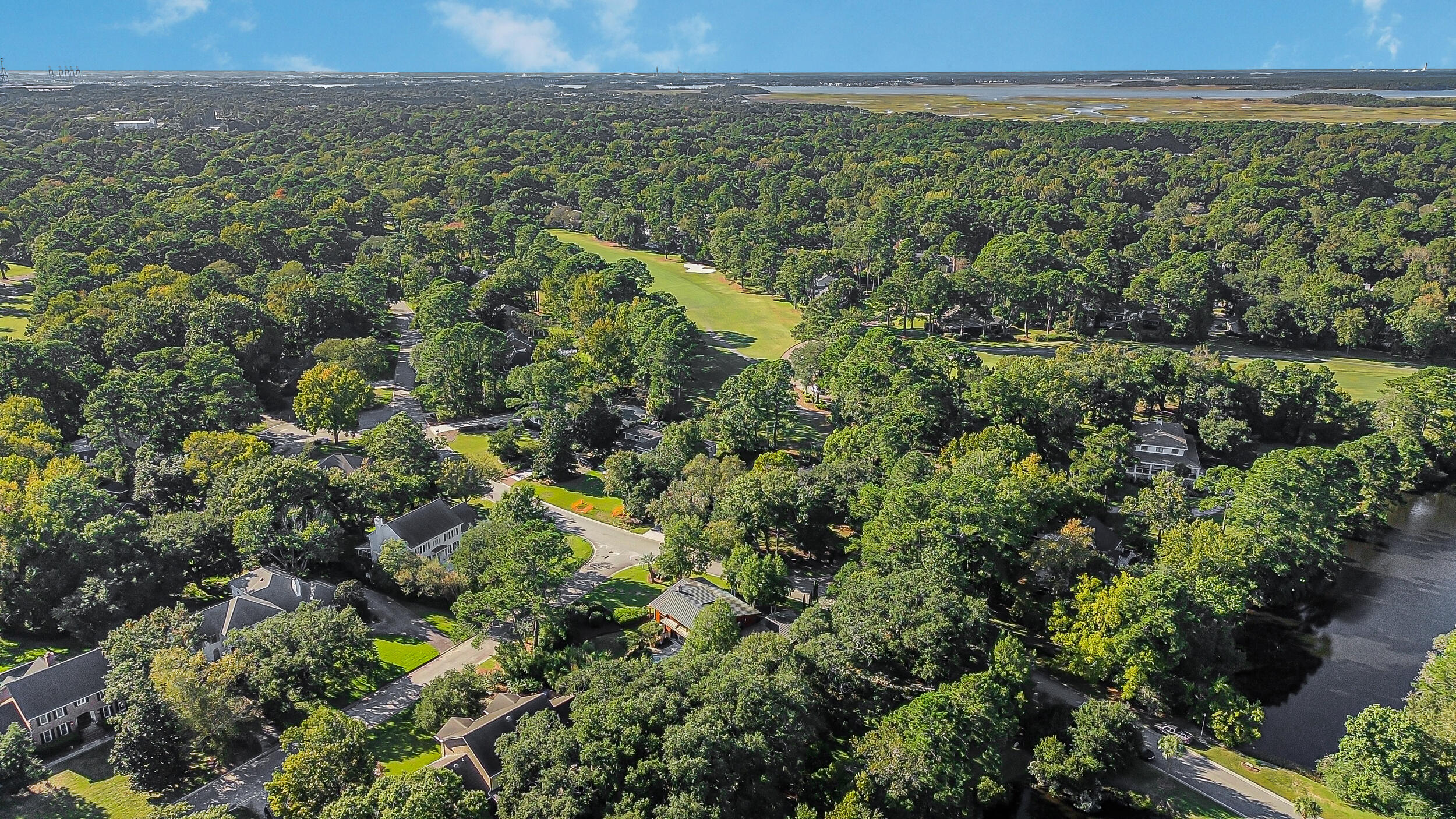 901 Red Coat Run Mount Pleasant, SC 29464 - Photo 79 of 79 199_dji_0240