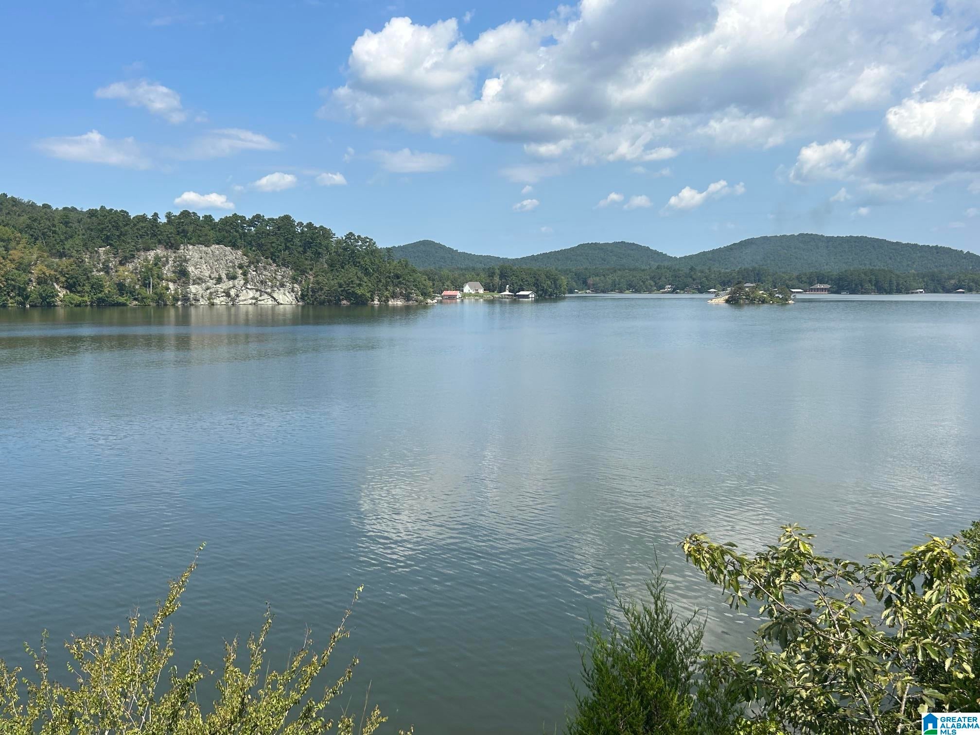 2040 Mohawk Cliff Road Ohatchee, AL 36271 - Photo 19 of 49 Gallery Image 19