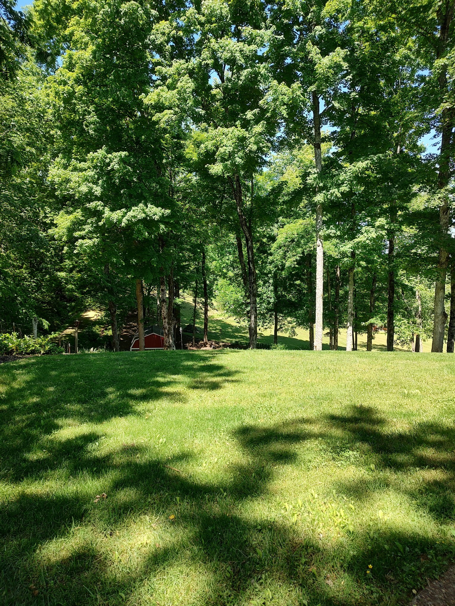 508 Katelyn Drive South Spring Hill, TN 37174 - Photo 95 of 100