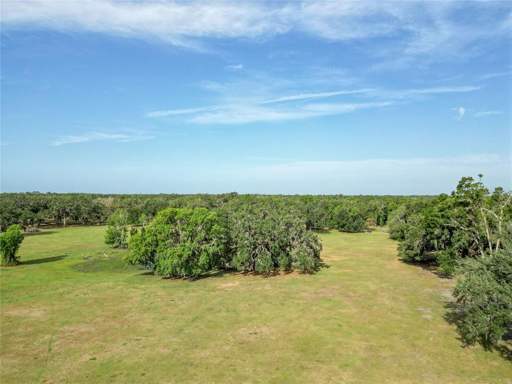 772b Webster Webster, FL 33597 - Photo 39 of 44