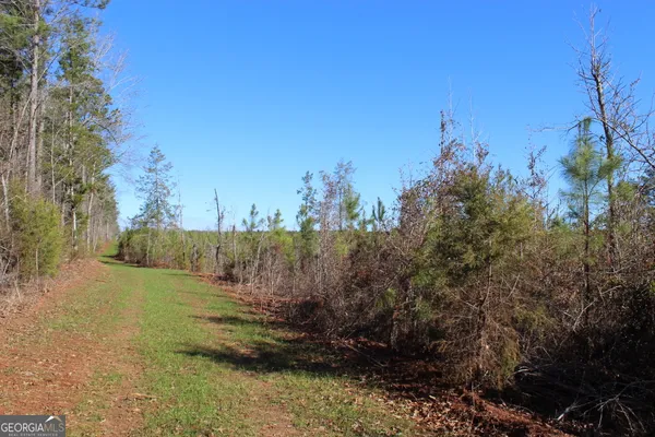 a view of a field with trees in the background