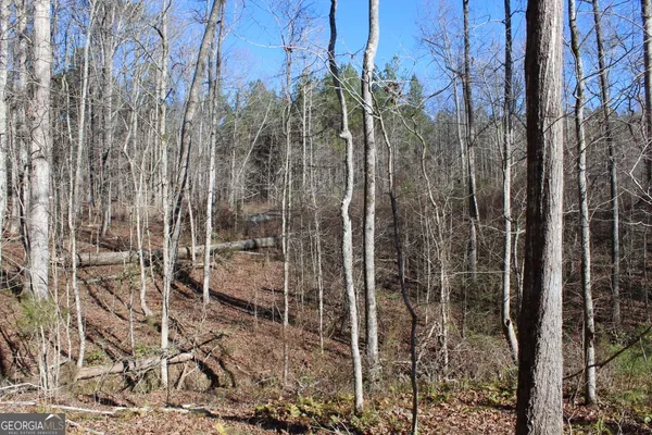 a view of a bathroom with a shower