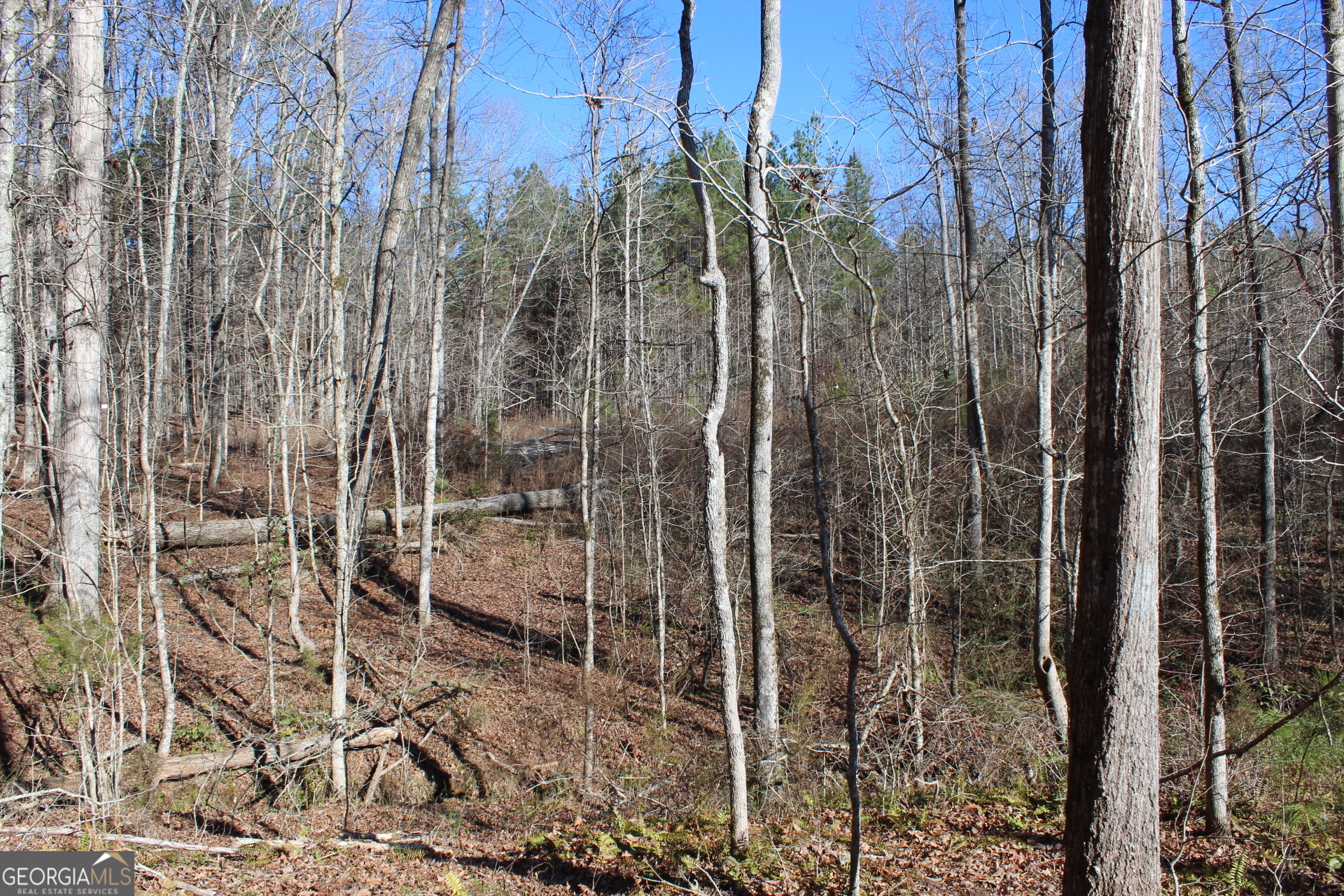 178.235-ac Rocky Mount Road Luthersville, GA 30251 - Photo 14 of 22