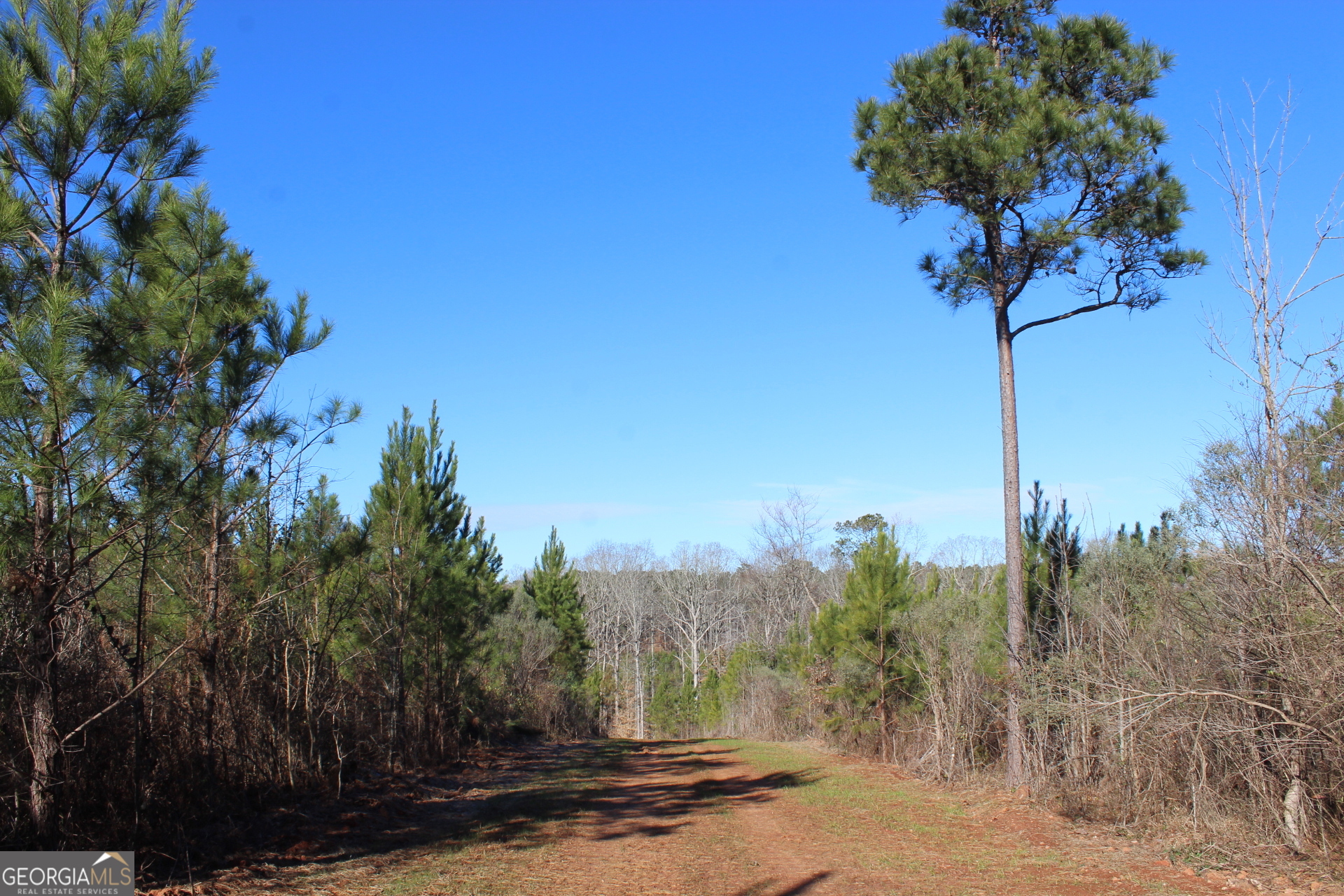 178.235-ac Rocky Mount Road Luthersville, GA 30251 - Photo 14 of 26 a view of a street with a tree