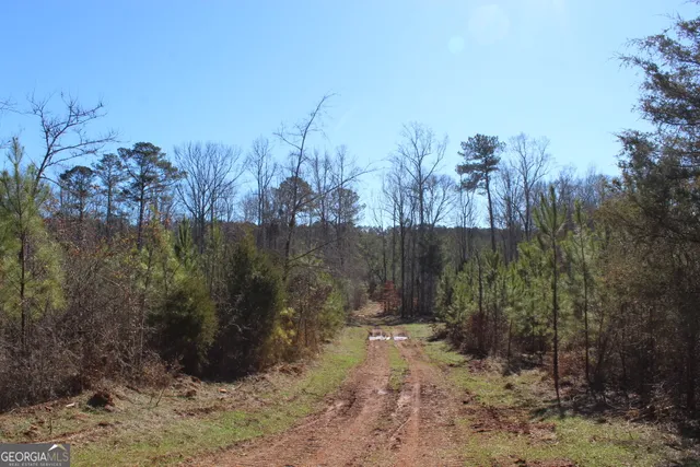 a view of a covered with trees