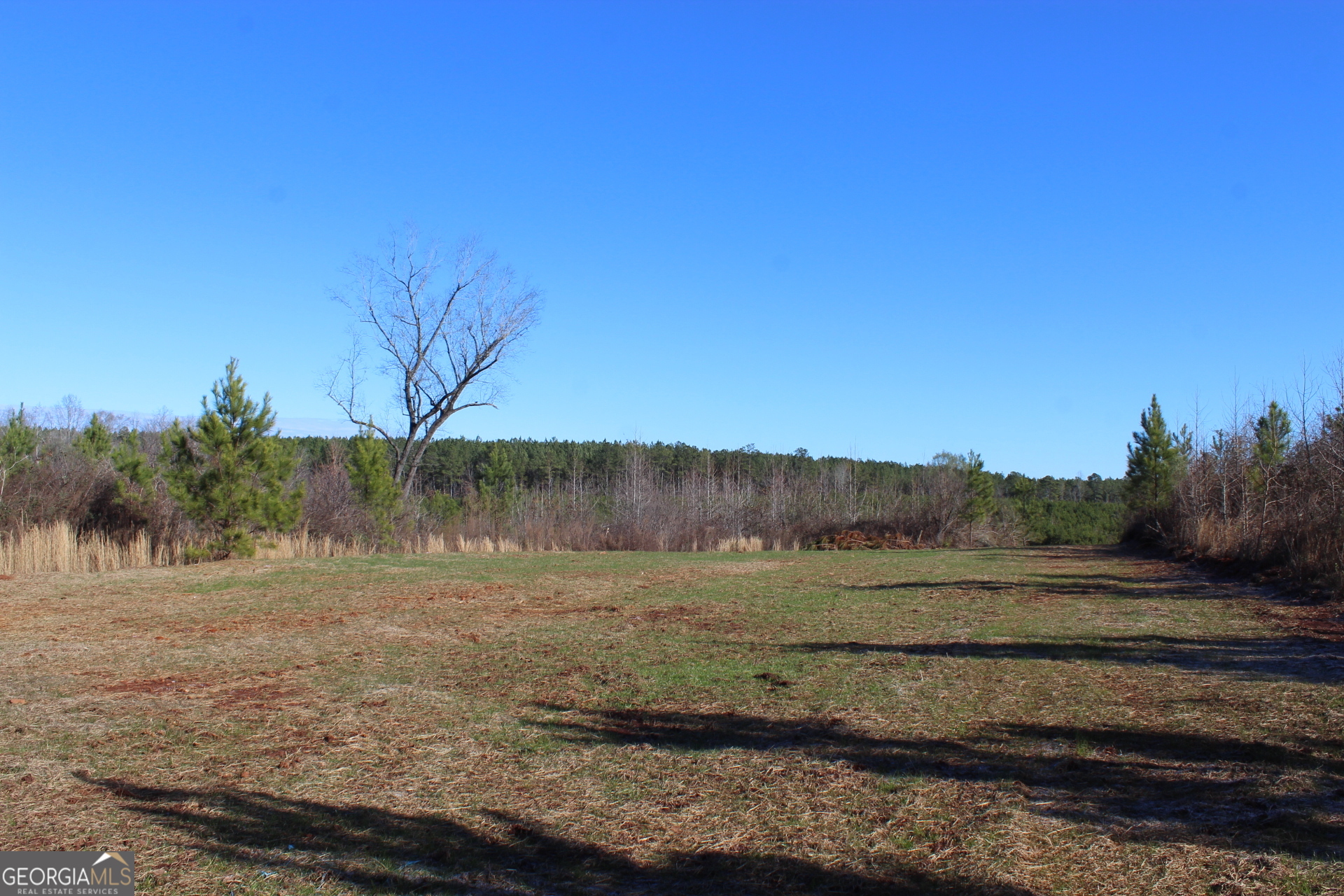 178.235-ac Rocky Mount Road Luthersville, GA 30251 - Photo 16 of 26 a view of a lake with mountain in the back
