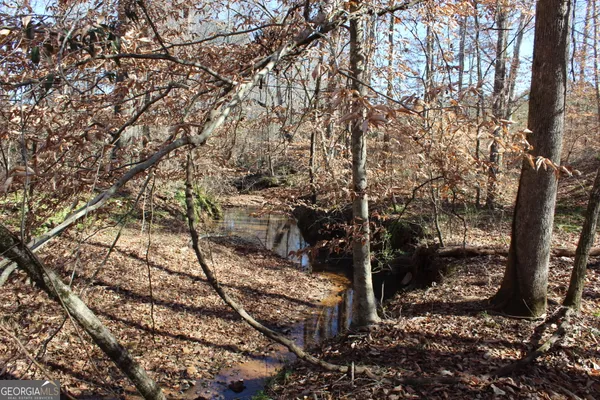 a view of a yard with trees