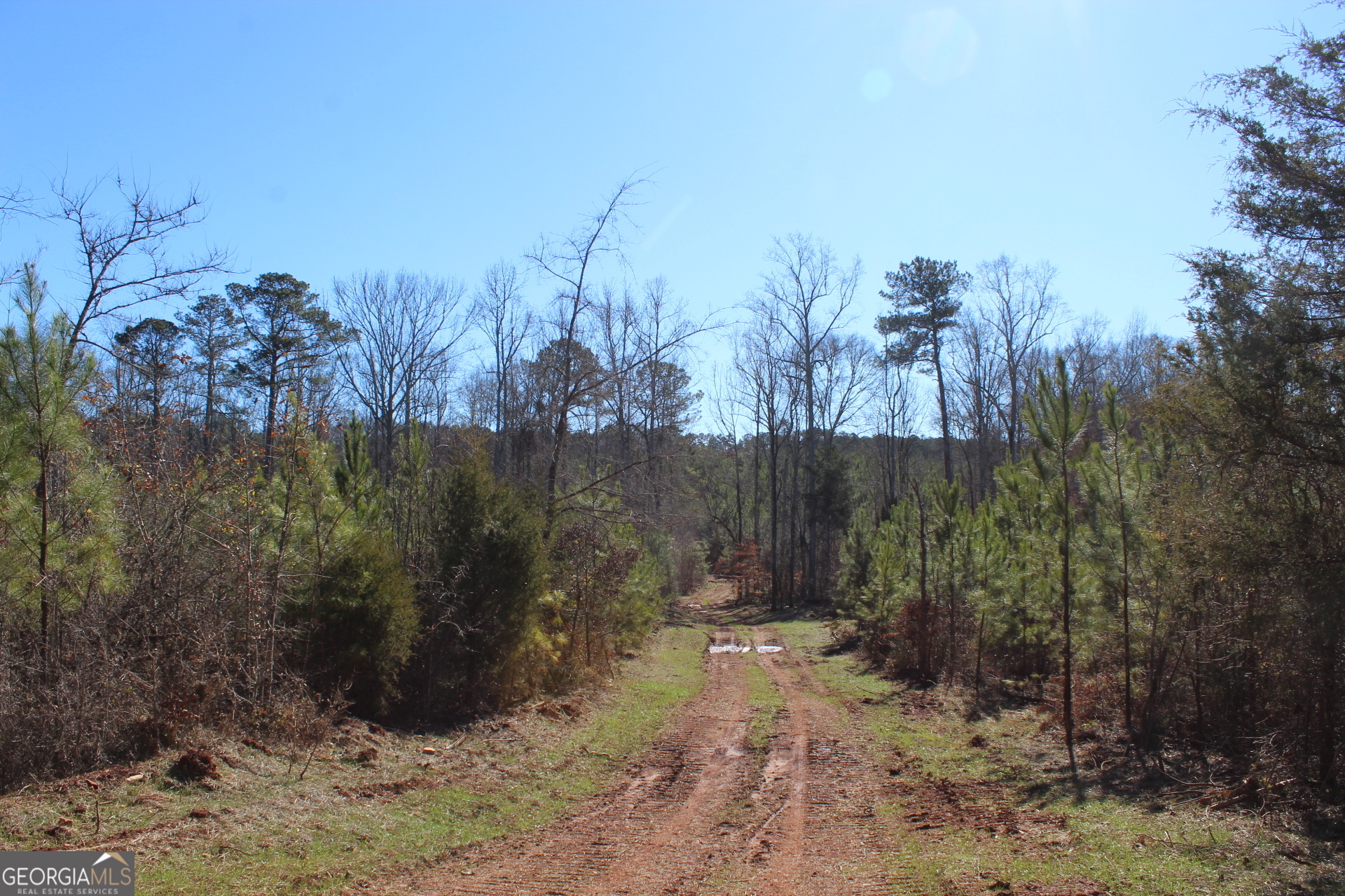 178.235-ac Rocky Mount Road Luthersville, GA 30251 - Photo 19 of 26 a view of a covered with trees