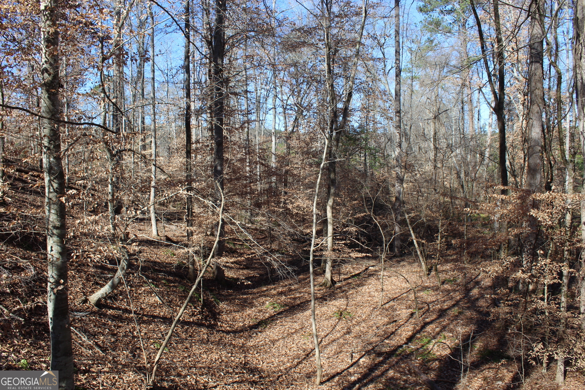 178.235-ac Rocky Mount Road Luthersville, GA 30251 - Photo 20 of 22