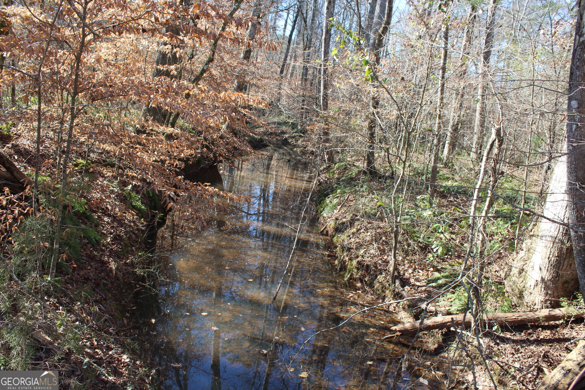 178.235-ac Rocky Mount Road Luthersville, GA 30251 - Photo 2 of 22