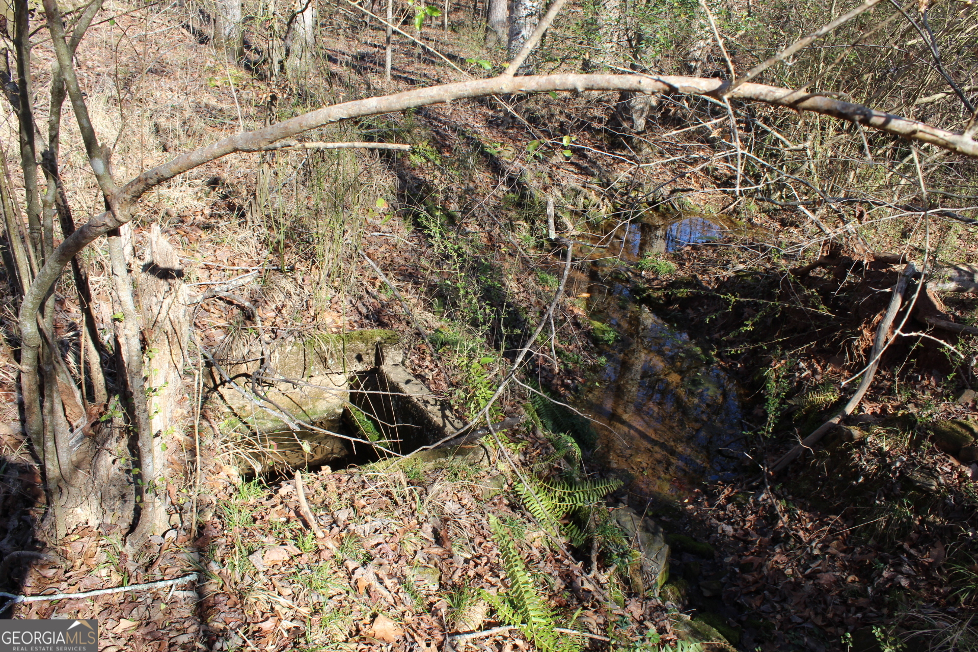 178.235-ac Rocky Mount Road Luthersville, GA 30251 - Photo 21 of 22