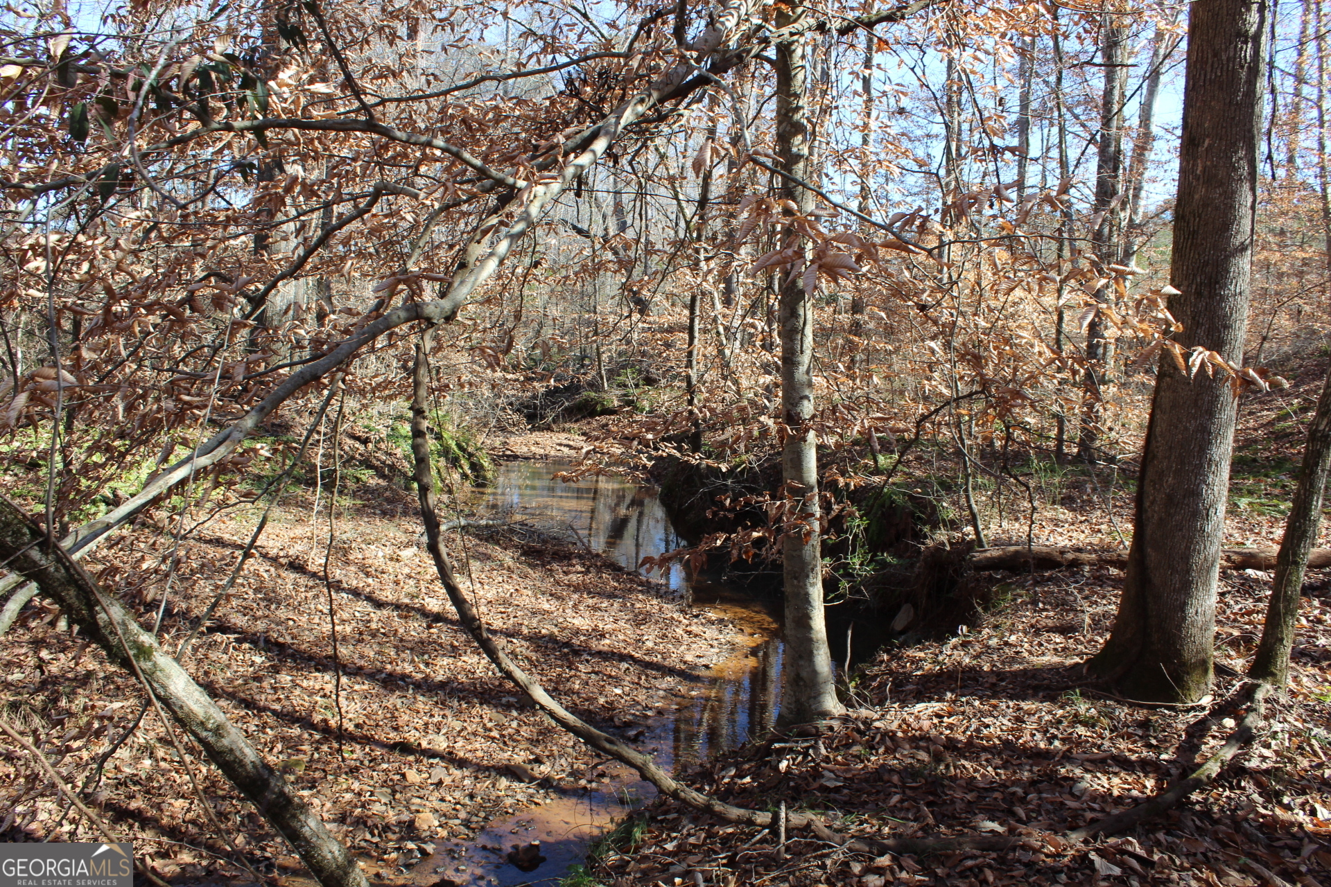 178.235-ac Rocky Mount Road Luthersville, GA 30251 - Photo 22 of 26 a view of a yard with trees