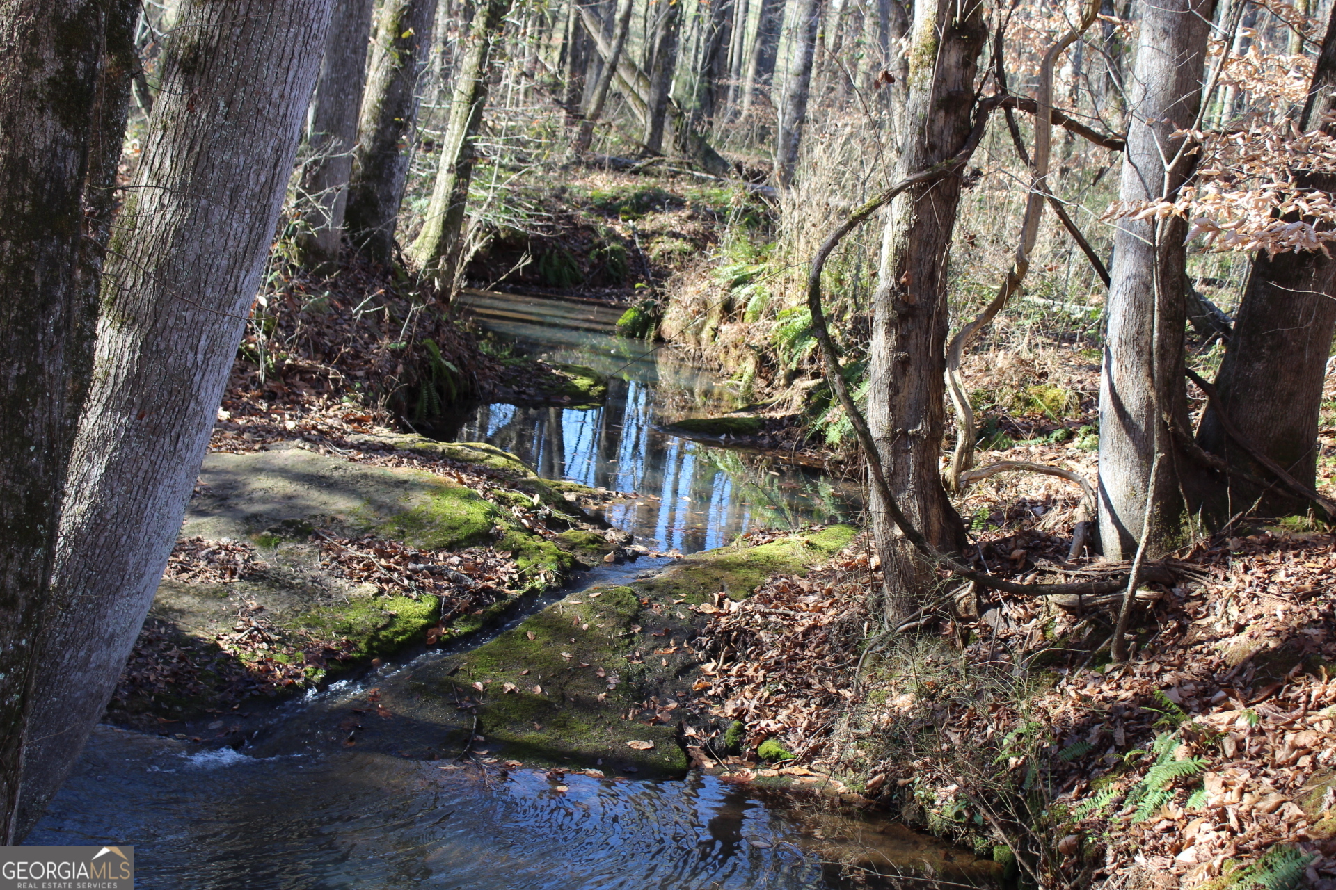 178.235-ac Rocky Mount Road Luthersville, GA 30251 - Photo 4 of 22