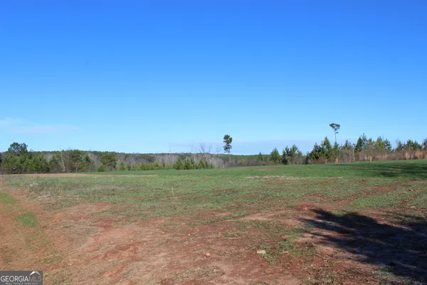 a view of a field with an ocean