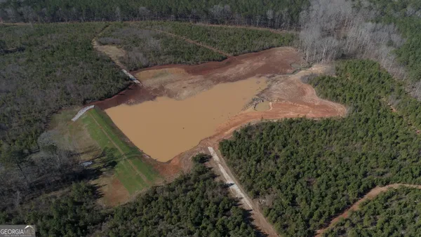 a view of a yard with plants and a wooden fence