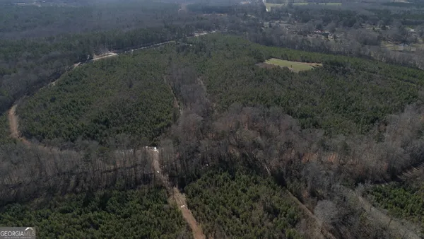 a view of a forest of a house