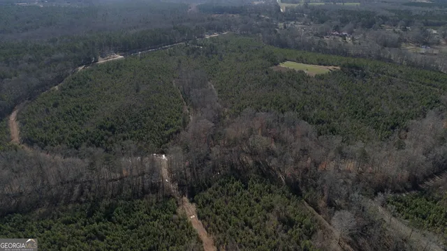 a view of a forest of a house