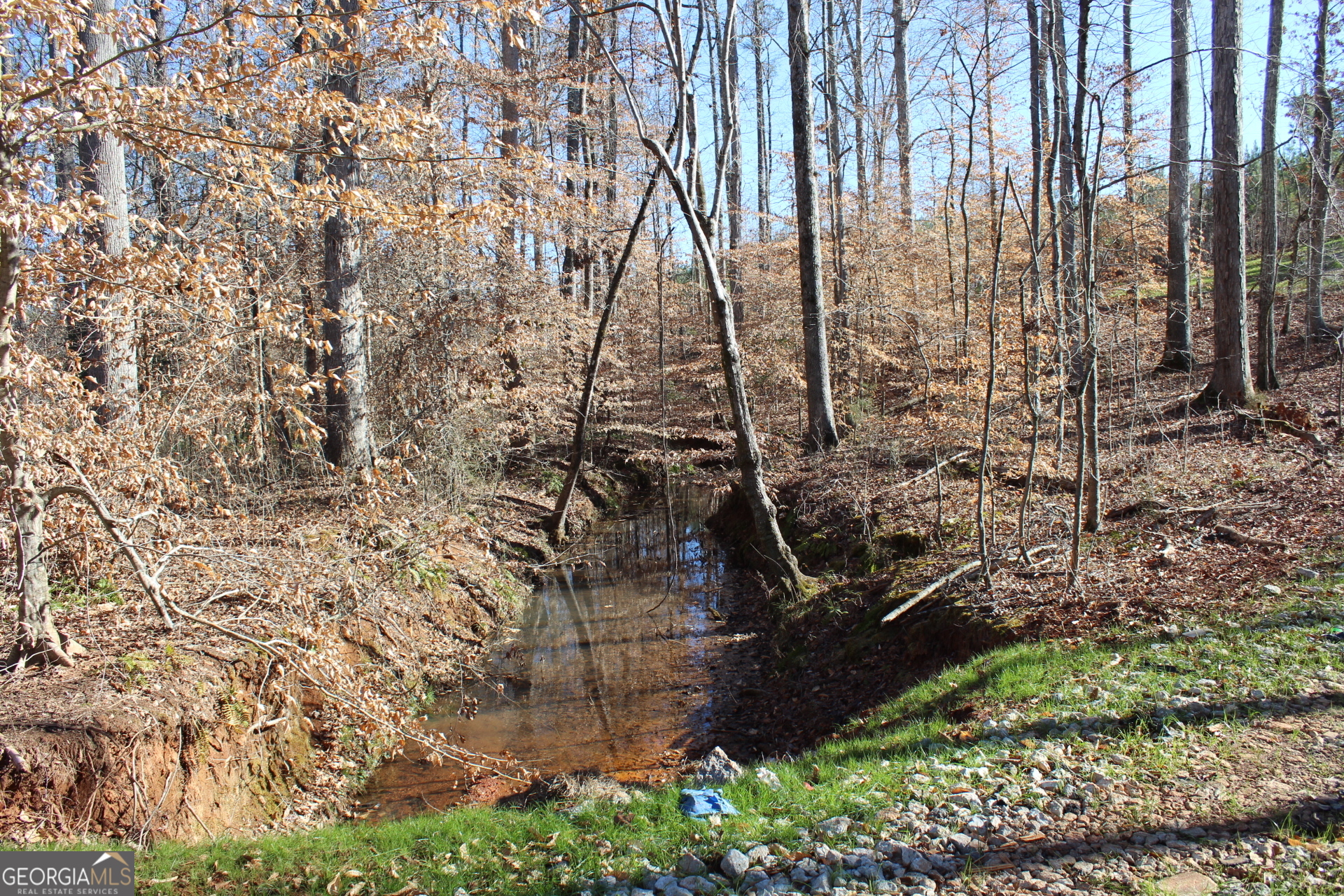 178.235-ac Rocky Mount Road Luthersville, GA 30251 - Photo 8 of 22