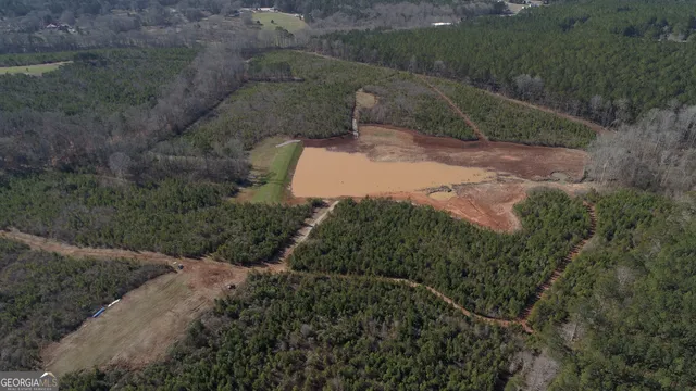 a view of a yard with plants