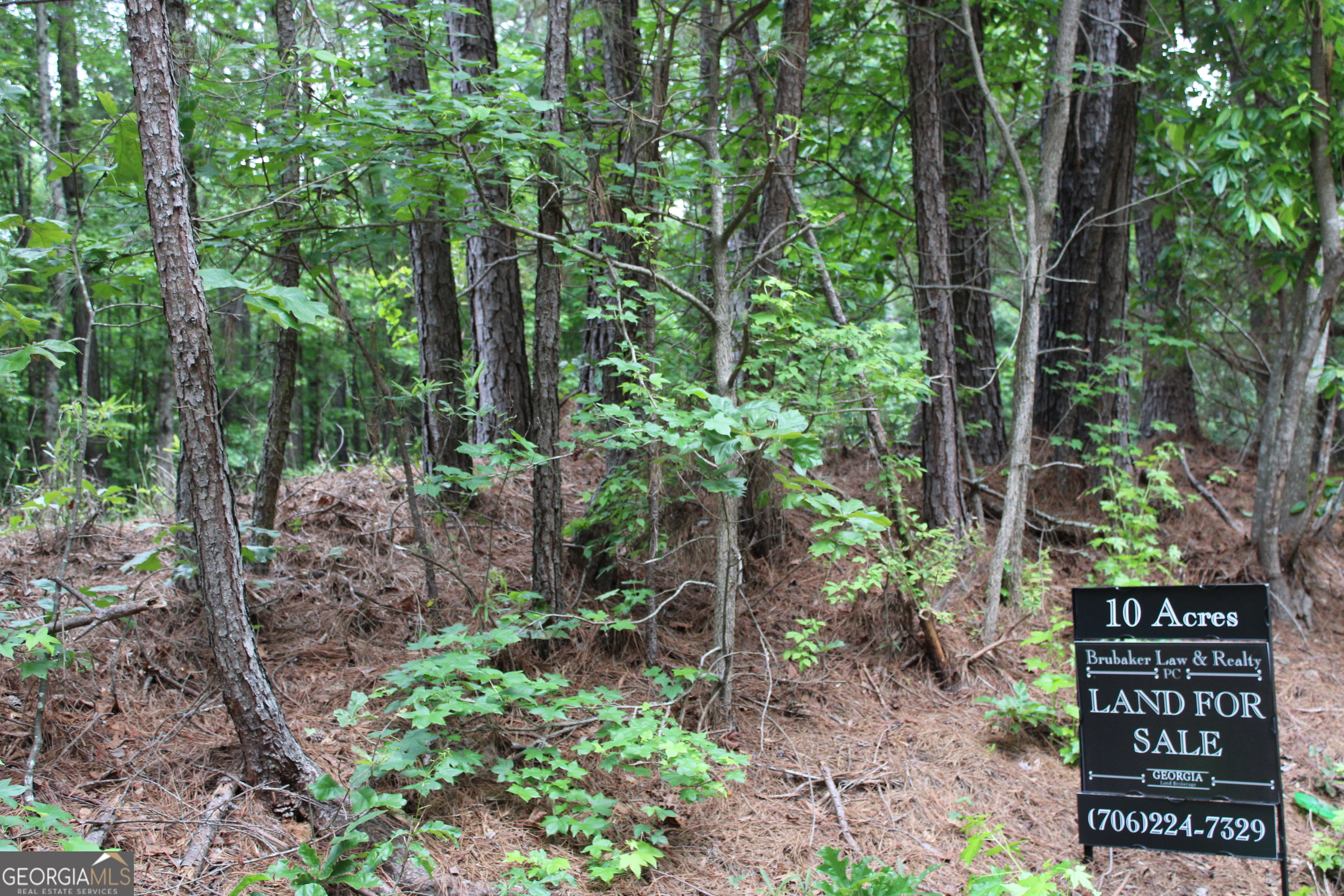 4 Garnett Ward Road Hull, GA 30646 - Photo 7 of 7